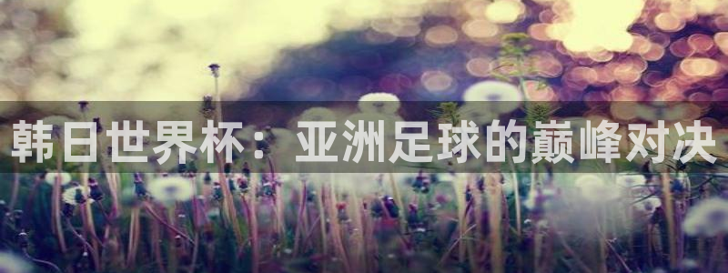 世界杯预选赛亚洲区积分榜:韩日世界杯:亚洲足球的巅峰对决