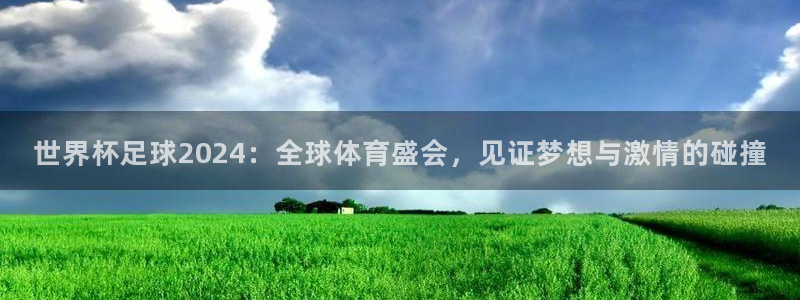 澳门世界杯直播:世界杯足球2024:全球体育盛会,见证梦想与激情的碰撞