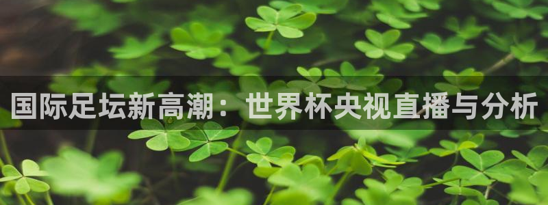 联赛杯直播:国际足坛新高潮:世界杯央视直播与分析