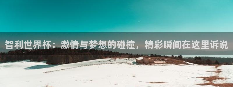 足球世界杯时间:智利世界杯:激情与梦想的碰撞,精彩瞬间在这里诉说