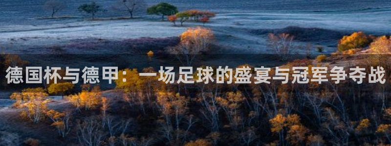 亚洲区世界杯预选赛:德国杯与德甲:一场足球的盛宴与冠军争夺战