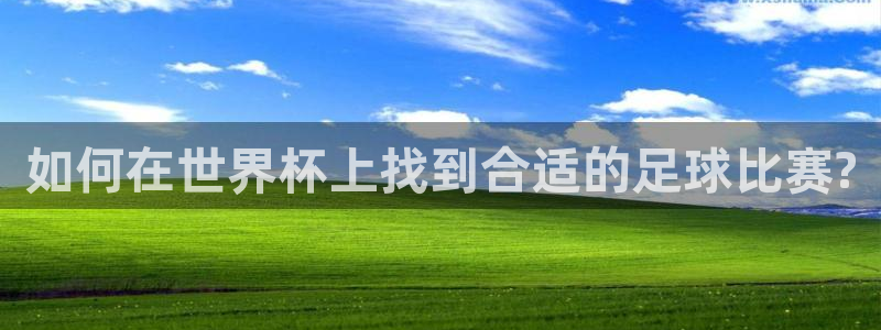 世界杯欧洲区世预赛赛程:如何在世界杯上找到合适的足球比赛?