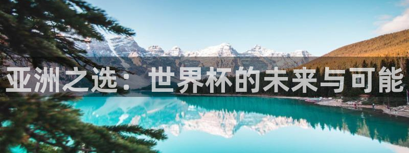 世界杯赛程表:亚洲之选:世界杯的未来与可能