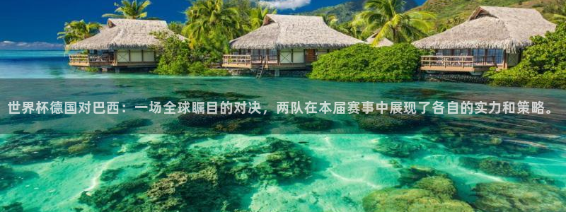 世界杯直播高清:世界杯德国对巴西:一场全球瞩目的对决,两队在本届赛事中展现了各自的实力和策略。
