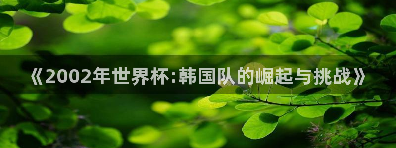 世界杯预选赛欧洲区赛程:《2002年世界杯:韩国队的崛起与挑战》